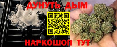 сатива Краснодар