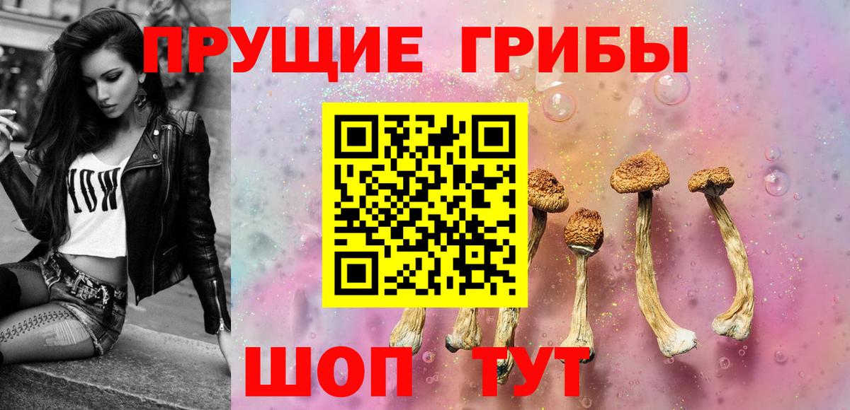 Гай  Галлюциногенные грибы Psilocybine cubensis  Вход с VPN  Галлюциногенные грибы Cubensis 
